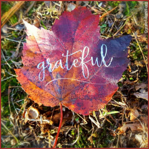 Gratitude Leaves - What are you thankful for?