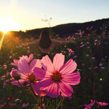 A woman gazing a setting sun with a pink flower in the foreground