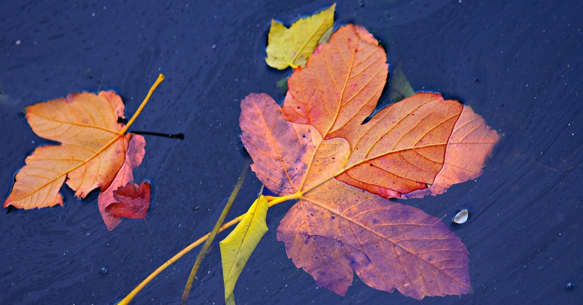 Thumbnail of Adrift - Grateful.org