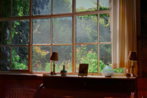 Window overlooking a garden bathed in morning light