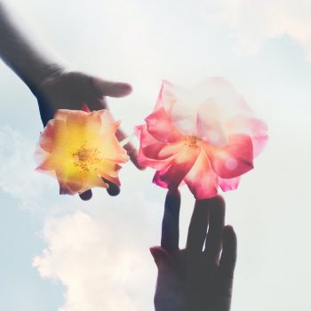 Grayscale hands with colorful flower blooms at their fingertips