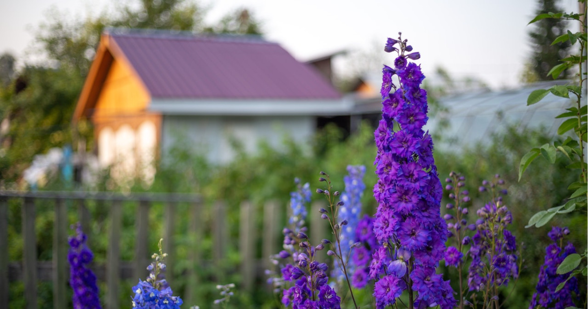 The Once Invisible Garden - Grateful.org