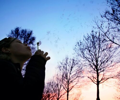 A person blowing seeds from a dandelion