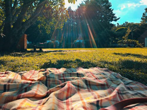 Picnic blanket spread on grass in a park on a sunny day