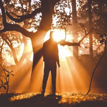 A person standing near a tree with sunlight shining into a forest