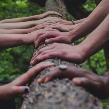 a group of hands resting on the trunk of a tree