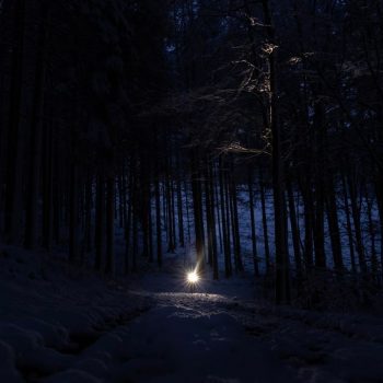 A person holding a flashlight in a dark forest