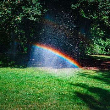 A rainbow in a sprinkler