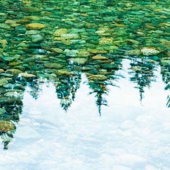 Trees reflected in clear water above stones