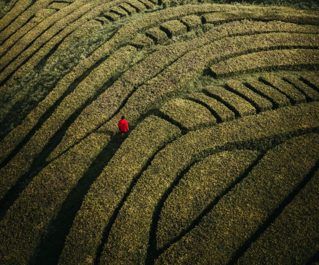 Aerial view of a person in a red shirt walking through a labyrinth