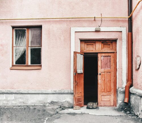 Cat curled up in a doorway