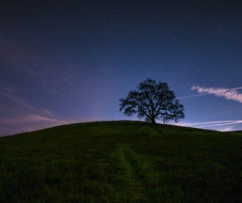 A grassy knoll in front of a night sky