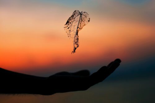 Silhouette of a translucent leaf falling into an open hand with orange and blue sunset in the background