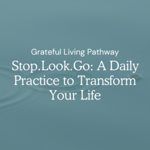 Stop.Look.Go: A Daily Practice to Transform Your Life