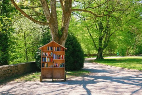 Free library in a public park