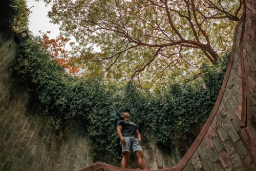 Man standing on a stone railing looking up at trees and plants above