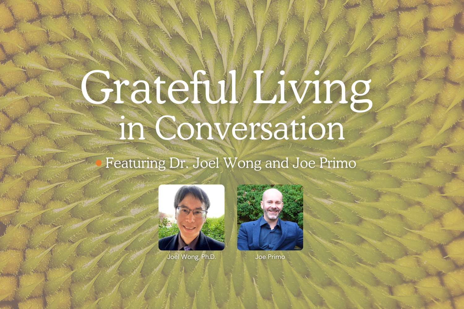 Grateful Living in Conversation: Joel Wong and Joe Primo