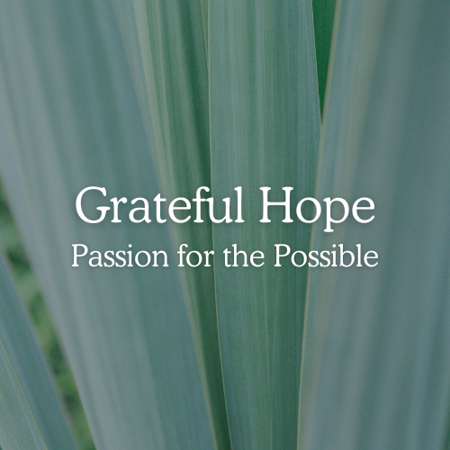 grateful-hope-square Grateful Hope: Passion for the Possible - A Grateful Living course