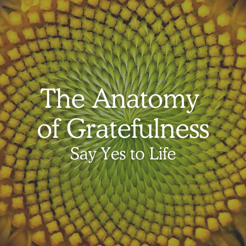 aog-on-demand-The Anatomy of Gratefulness: Say Yes to Life - Grateful Living coursecourse The Anatomy of Gratefulness: Say Yes to Life - Grateful Living course