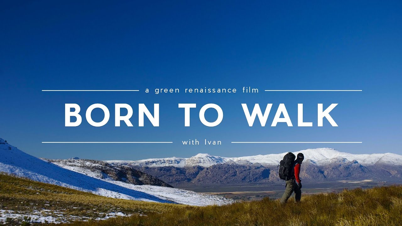 Born to Walk video by Reflections of Life